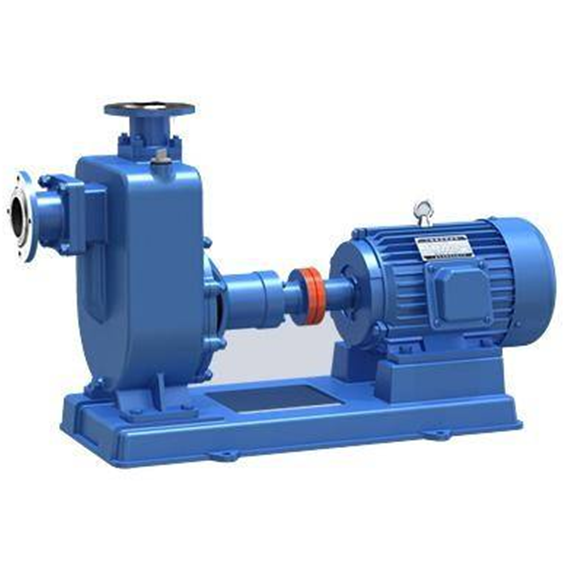 Marine pump